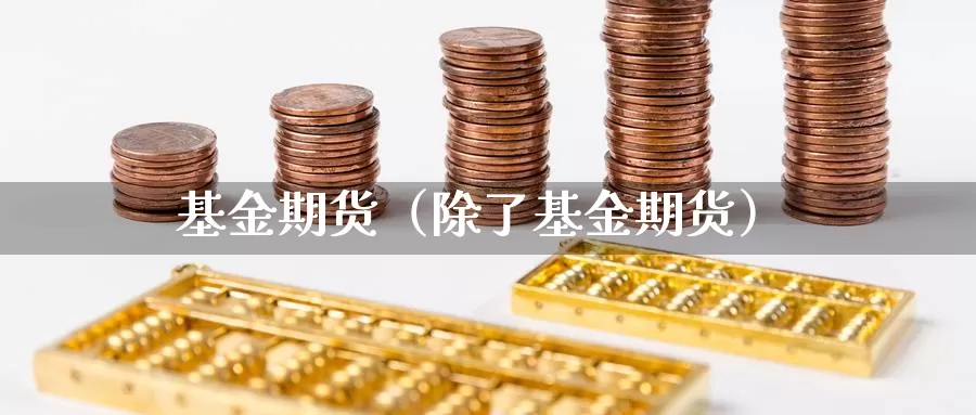 基金期货（除了基金期货）_https://www.dnzpfu.com_现货黄金_第1张